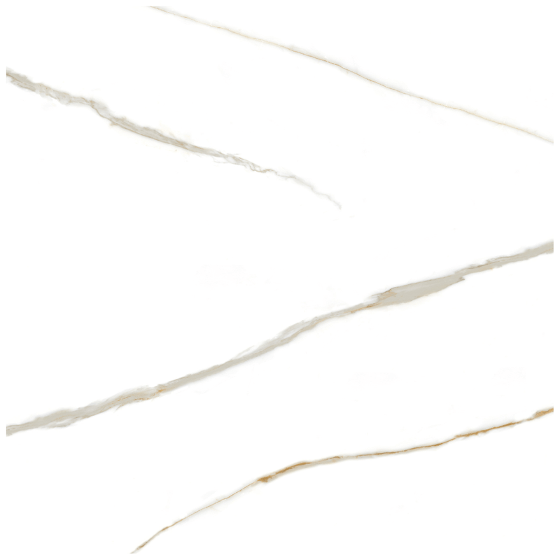 104418603                                .png