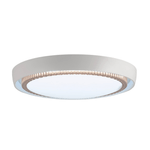 Plafon_Aurea_Led_Sobrepor_Redondo_24w_Branco_Temperatura_De_Cor_Ajustvel_Blumenau_104427103png